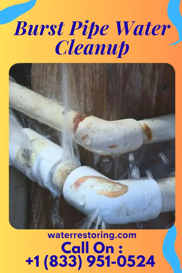 Burst Pipe Water Cleanup in Jamestown, NY
