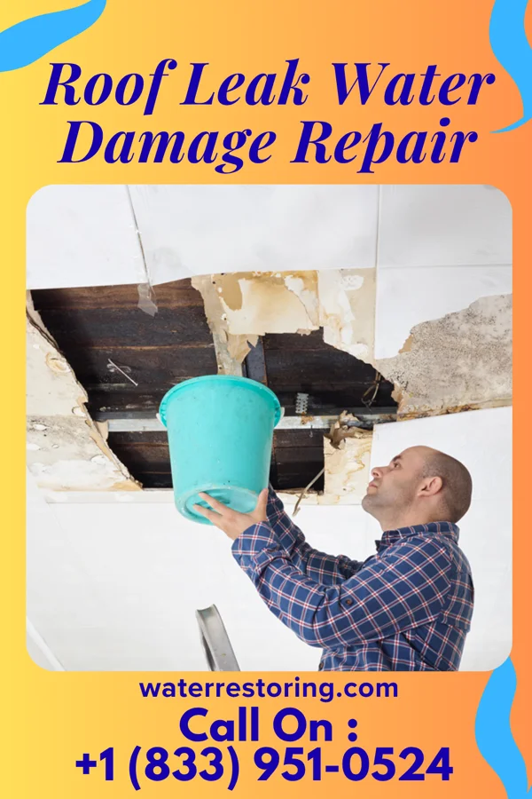 Roof Leak Water Damage Repair in Jamestown, NY