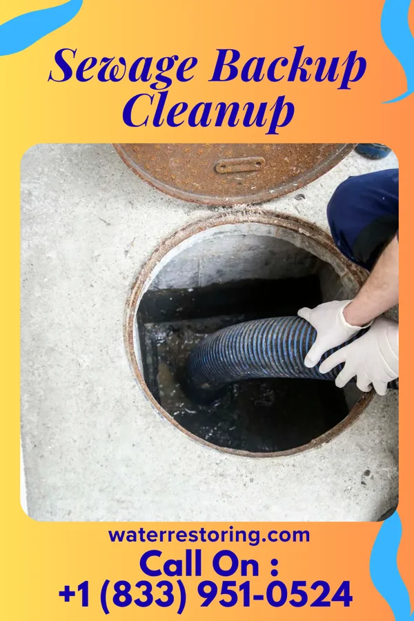 Sewage Backup Cleanup in Jamestown, NY