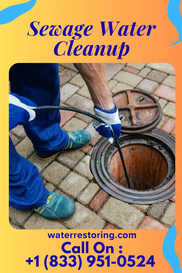 Sewage Water Cleanup in Jamestown, NY