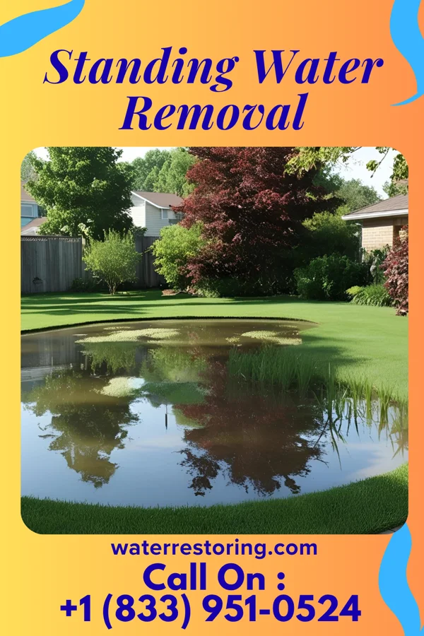 Standing Water Removal in Jamestown, NY